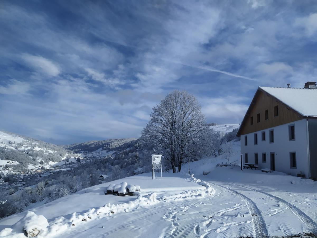 De Moyenmont Holiday home La Bresse